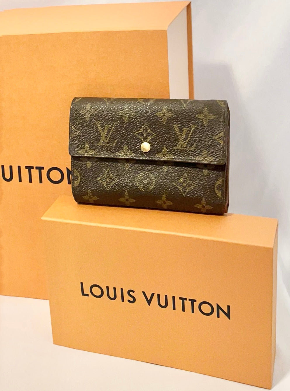 Louis Vuitton Noe & LV Wallet
