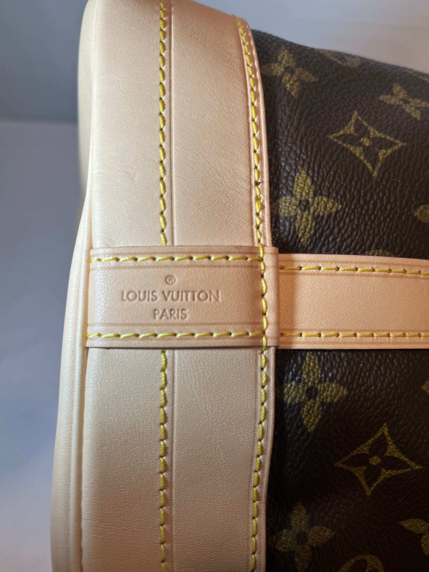 Louis Vuitton Petite Noe